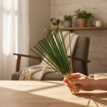 Hand holding a bundle of incense stick in a room with a sofa and plants.